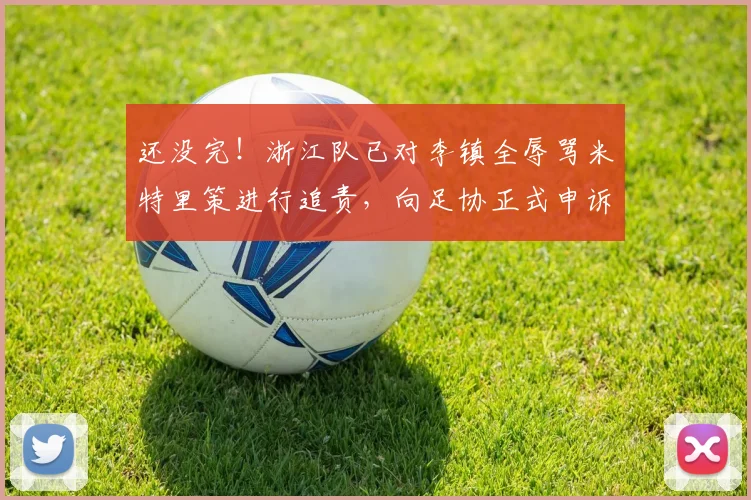 还没完！浙江队已对李镇全辱骂米特里策进行追责，向足协正式申诉_3